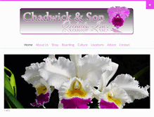 Tablet Screenshot of chadwickorchids.com